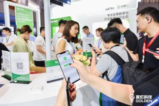 高燈科技亮相騰訊全球數(shù)字生態(tài)大會(huì)，專注打造智慧財(cái)稅極致體驗(yàn)